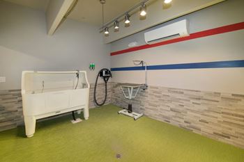 Pet-friendly community with on-site pet spa
